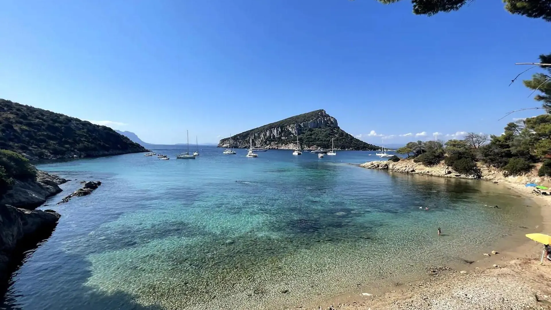 Apartment Appartamento Levante A 300M Dalla Spiaggia Golfo Aranci
